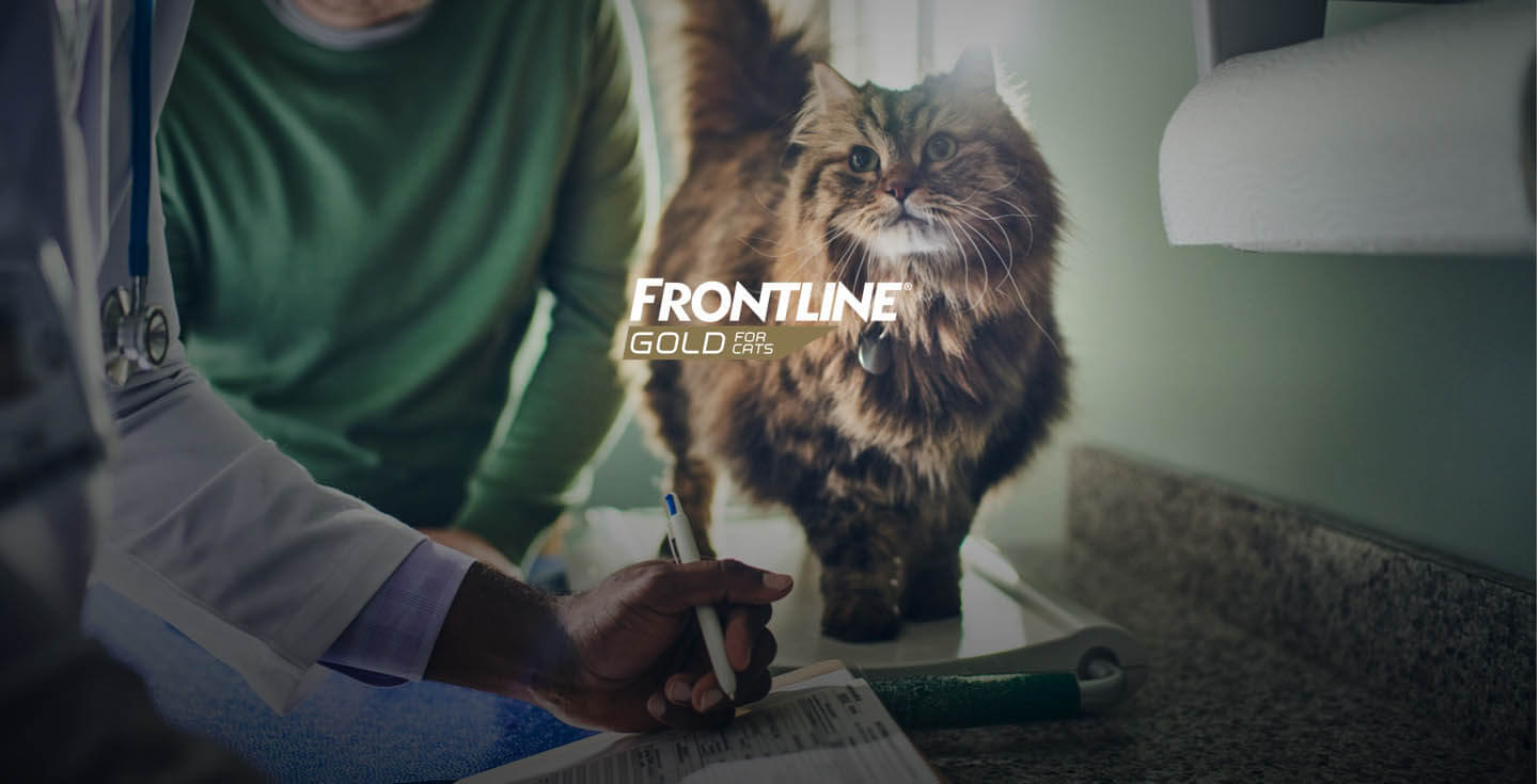 FRONTLINE® Gold for Cats Triple Action Topical Flea and Tick Treatment